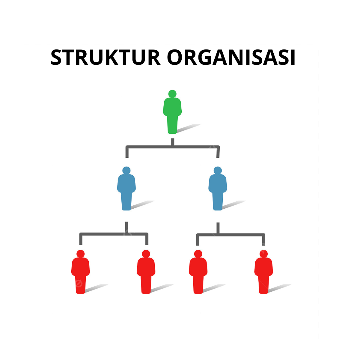 STRUKTUR ORGANISASI